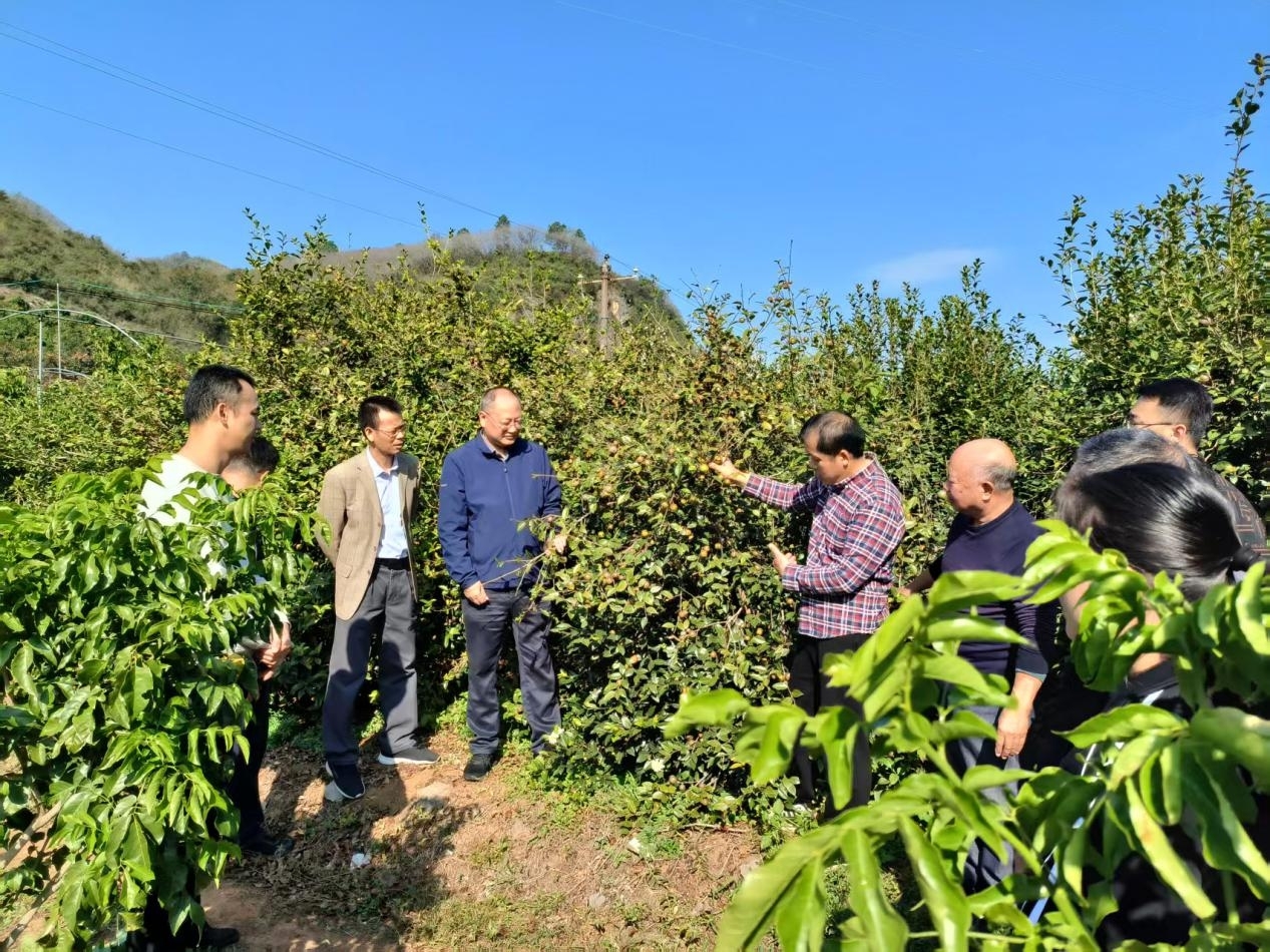 测产现场1 廖小清.jpeg