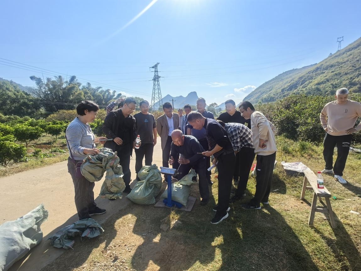 测产现场2 廖小清.jpeg