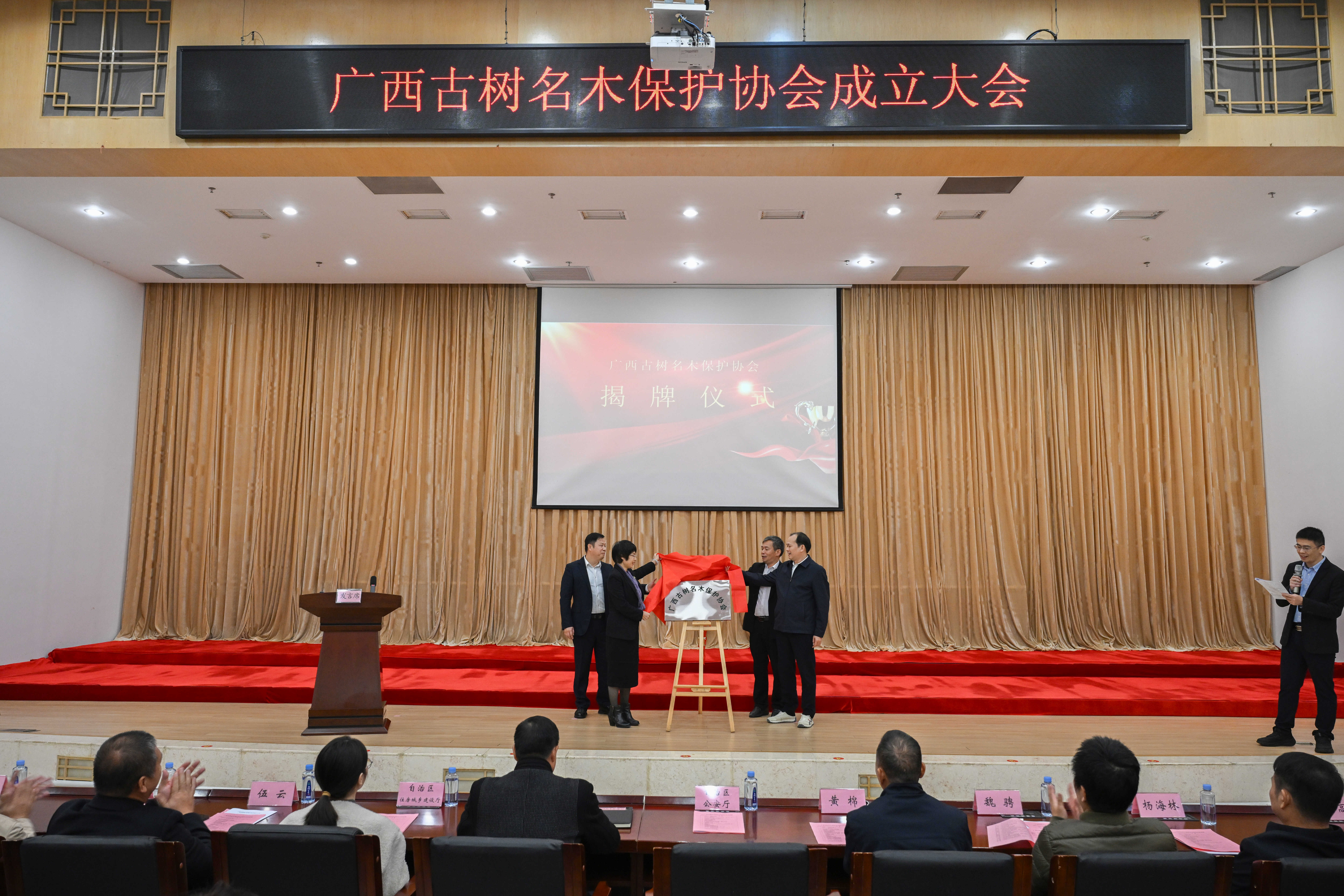 广西古树名木保护协会揭牌仪式(扈鑫摄).jpg
