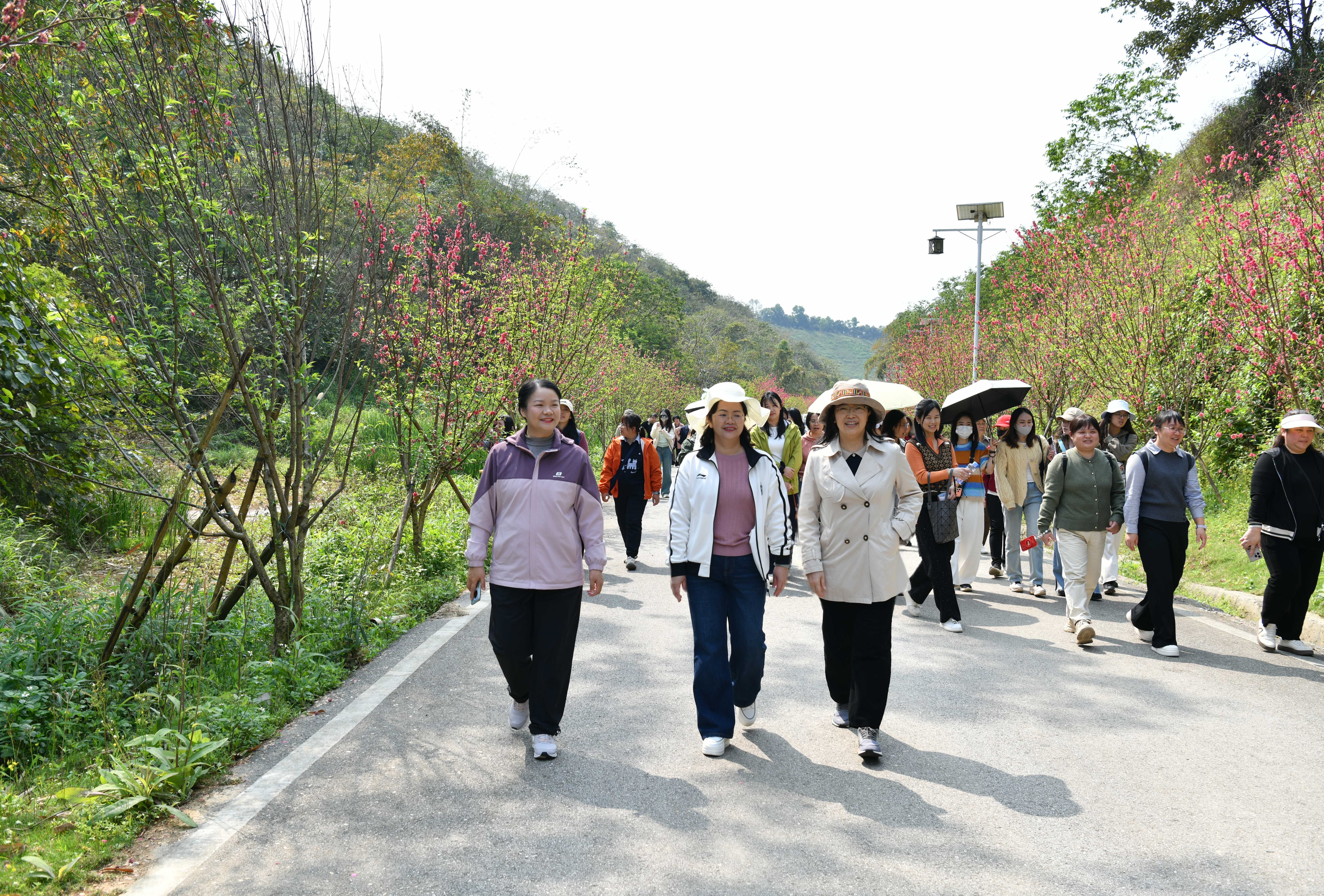 健步走 李慧川摄.jpg