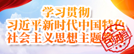 学习贯彻习近平新时代中国特色社会主义思想主题教育